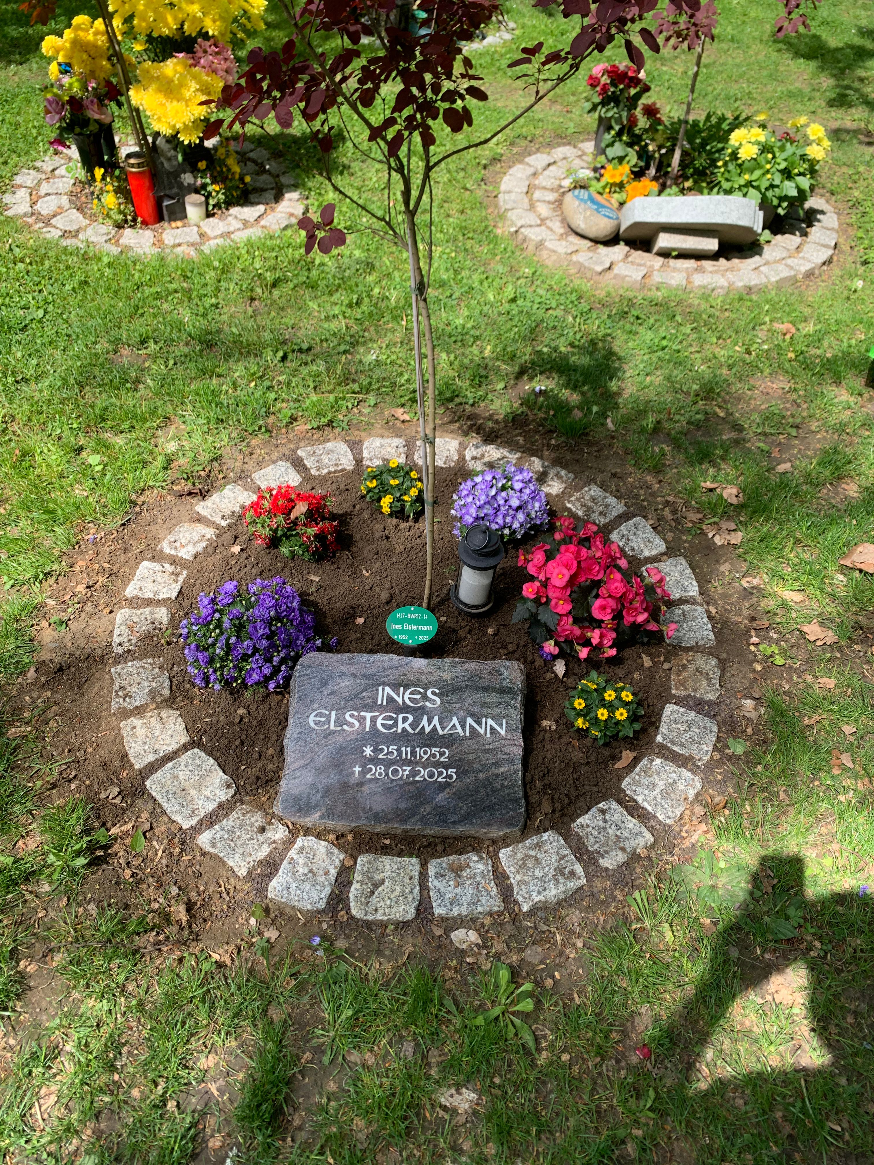 Grabstelle für einen Grabpflege-Auftrag am Friedhof der St. Hedwig und St. Pius Gemeinde in Berlin